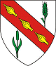 wpschild-van-auwenis-80