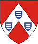 wpschild-ameye-80