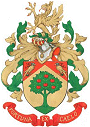 wp-Verhelle-0-80.gif