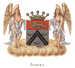 wp-Boreel-300.gif